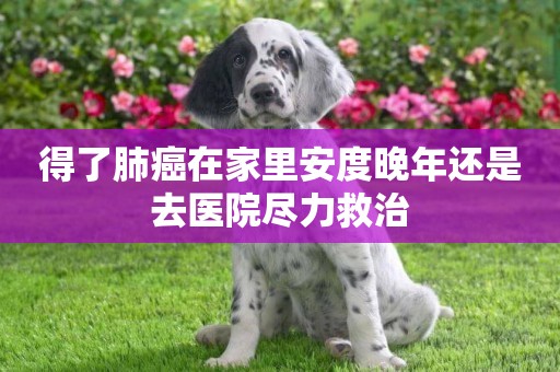 得了肺癌在家里安度晚年還是去醫院盡力救治