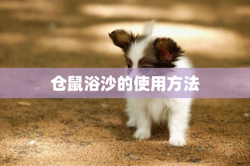 倉鼠浴沙的使用方法