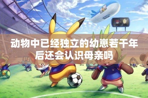 動物中已經獨立的幼崽若干年后還會認識母親嗎