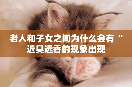 老人和子女之間為什么會有“近臭遠香的現象出現