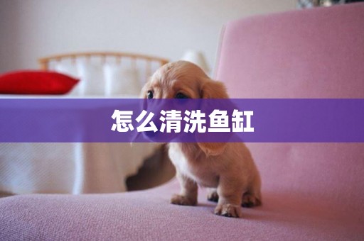怎么清洗魚缸