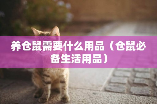 養倉鼠需要什么用品（倉鼠必備生活用品）