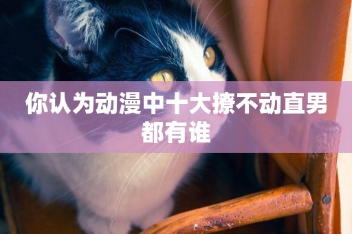 你認為動漫中十大撩不動直男都有誰