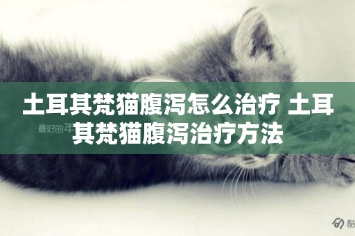土耳其梵貓腹瀉怎么治療 土耳其梵貓腹瀉治療方法
