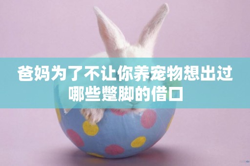 爸媽為了不讓你養寵物想出過哪些蹩腳的借口