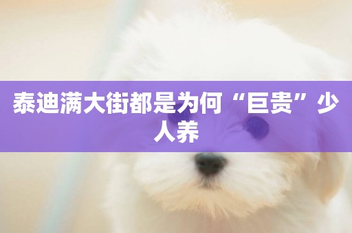 泰迪滿大街都是為何“巨貴”少人養