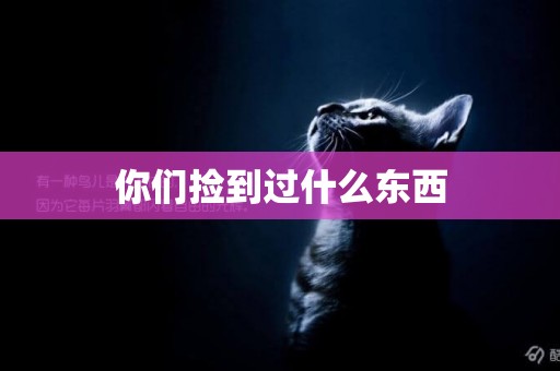 你們撿到過什么東西