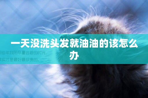一天沒洗頭發就油油的該怎么辦