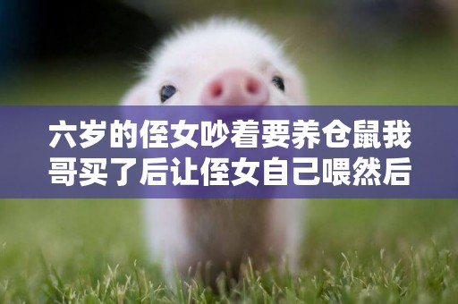 六歲的侄女吵著要養倉鼠我哥買了后讓侄女自己喂然后倉鼠就被餓死了這種教育方法可取嗎