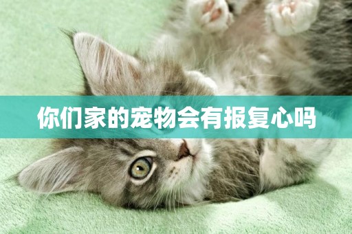 你們家的寵物會有報復心嗎
