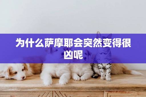 為什么薩摩耶會突然變得很兇呢