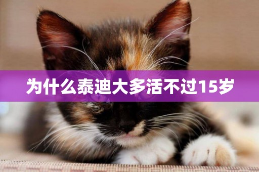 為什么泰迪大多活不過15歲