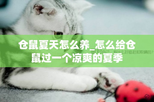 倉鼠夏天怎么養_怎么給倉鼠過一個涼爽的夏季