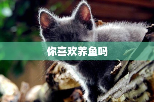你喜歡養魚嗎