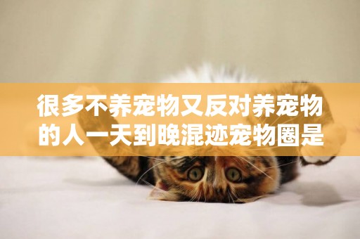 很多不養寵物又反對養寵物的人一天到晚混跡寵物圈是種怎樣的心態
