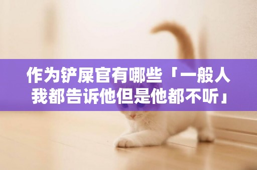 作為鏟屎官有哪些「一般人我都告訴他但是他都不聽」的忠告