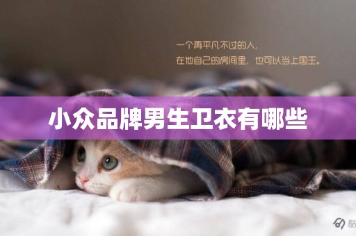 小眾品牌男生衛衣有哪些