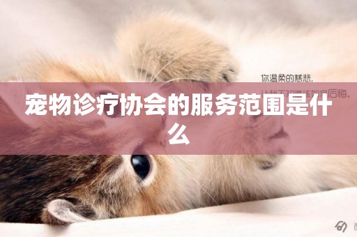 寵物診療協會的服務范圍是什么
