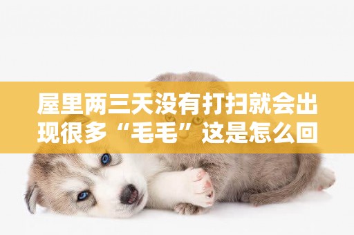屋里兩三天沒有打掃就會出現很多“毛毛”這是怎么回事