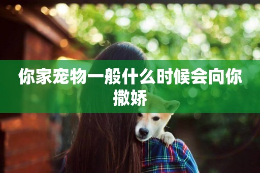 你家寵物一般什么時候會向你撒嬌