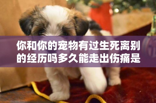 你和你的寵物有過生死離別的經歷嗎多久能走出傷痛是怎樣走出來的