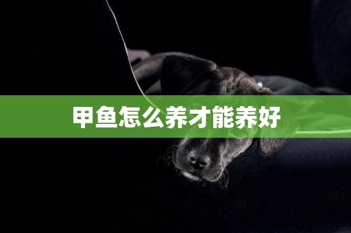 甲魚怎么養才能養好