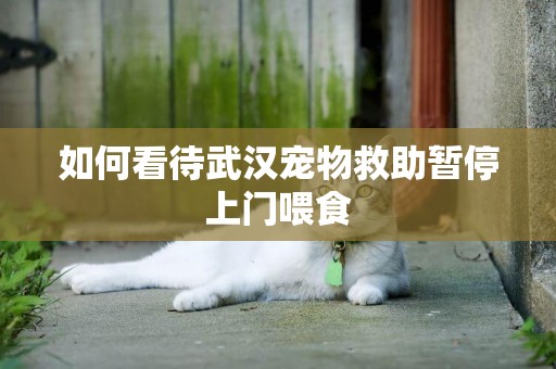 如何看待武漢寵物救助暫停上門喂食