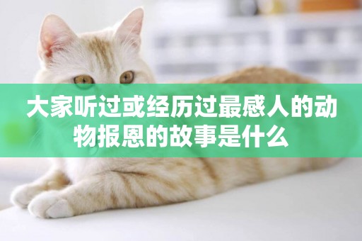 大家聽過或經歷過最感人的動物報恩的故事是什么
