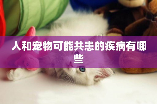 人和寵物可能共患的疾病有哪些