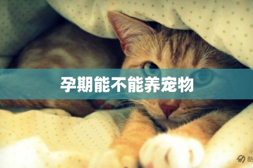 孕期能不能養寵物