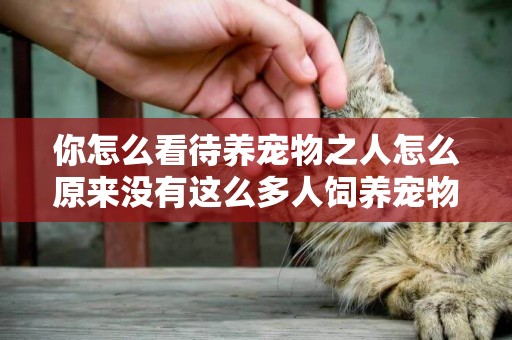 你怎么看待養寵物之人怎么原來沒有這么多人飼養寵物呢