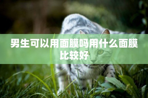 男生可以用面膜嗎用什么面膜比較好