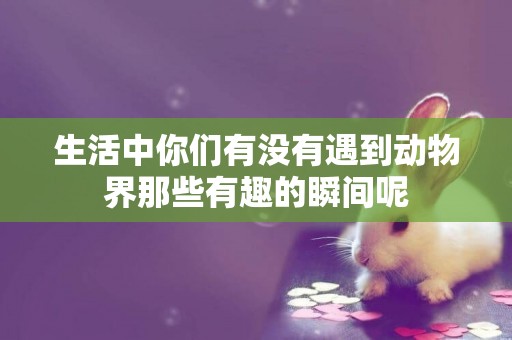 生活中你們有沒有遇到動物界那些有趣的瞬間呢
