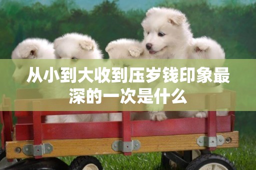 從小到大收到壓歲錢印象最深的一次是什么