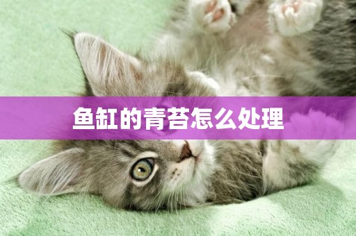 魚缸的青苔怎么處理