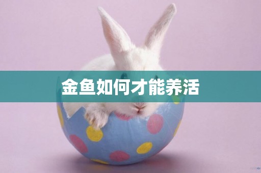 金魚如何才能養活