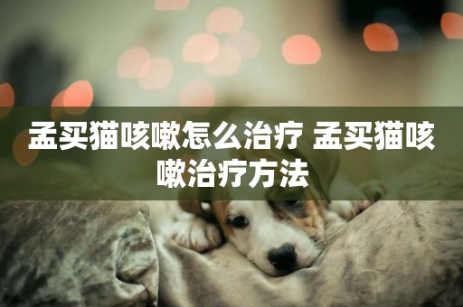 孟買貓咳嗽怎么治療 孟買貓咳嗽治療方法