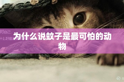 為什么說蚊子是最可怕的動物