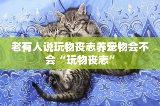 老有人說玩物喪志養寵物會不會“玩物喪志”