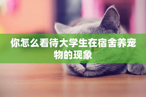 你怎么看待大學生在宿舍養寵物的現象