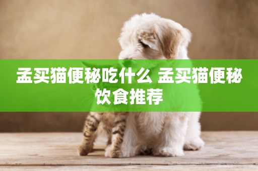 孟買貓便秘吃什么 孟買貓便秘飲食推薦