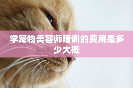 學寵物美容師培訓的費用是多少大概