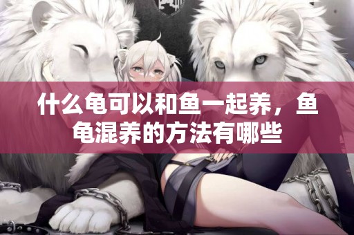 什么龜可以和魚一起養，魚龜混養的方法有哪些