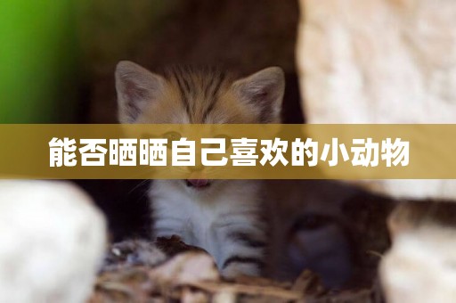 能否曬曬自己喜歡的小動物