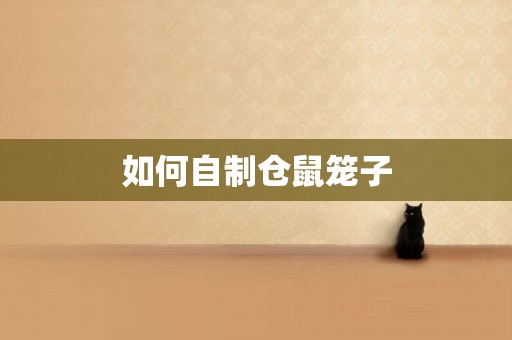 如何自制倉鼠籠子