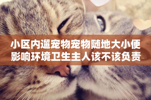 小區內遛寵物寵物隨地大小便影響環境衛生主人該不該負責