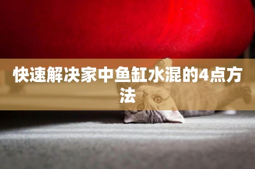 快速解決家中魚缸水混的4點方法
