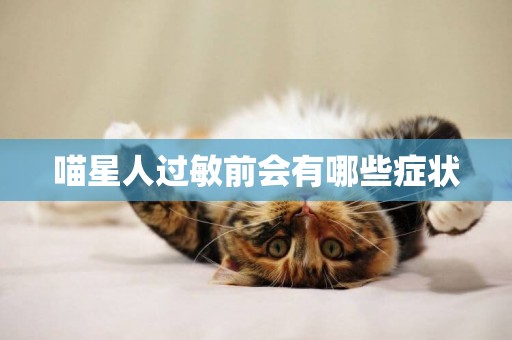 喵星人過敏前會有哪些癥狀