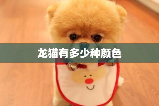 龍貓有多少種顏色