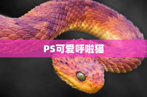 PS可愛呼啦貓